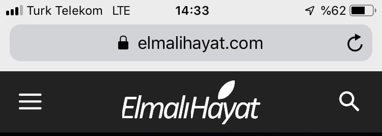 Safari’deki GÜVENLİ DEĞİL ibaresi ne anlama geliyor?