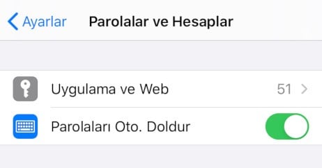 Parolalar ve Hesaplar