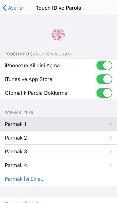 Touch ID ve Parola