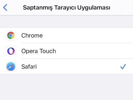 Saptanmış web tarayıcı