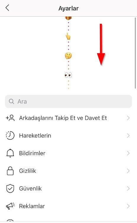 Uygulama Simgesi ekranı