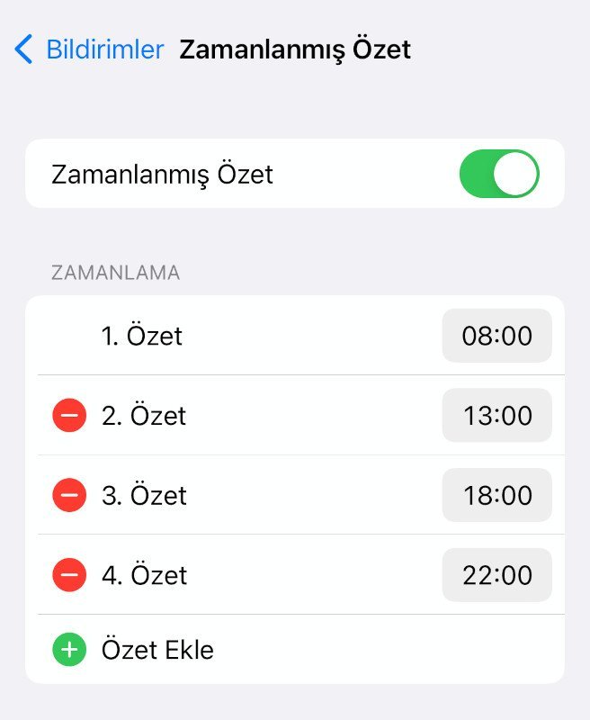 Zamanlanmış Özet