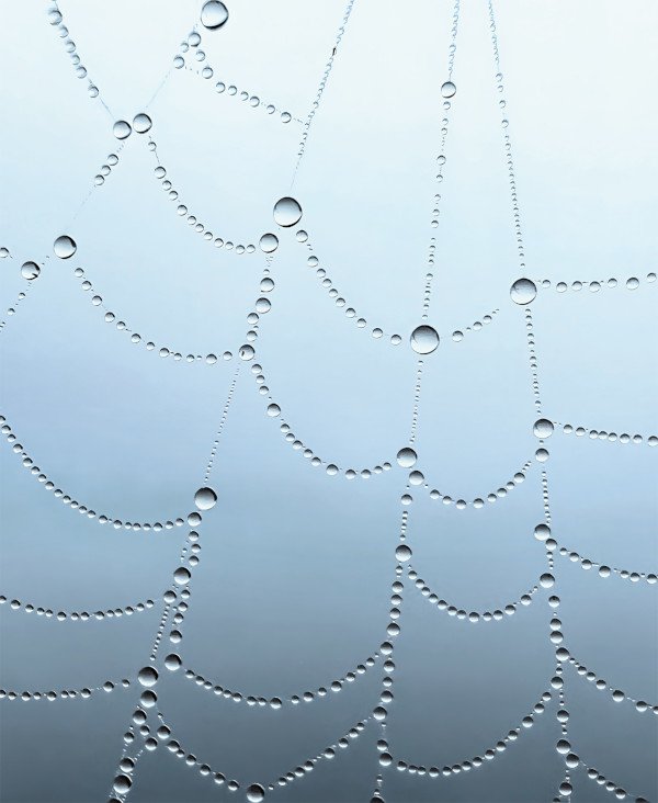 Doğadaki Sanat - Prajwal Chougule - Kolhapur, Maharashtra, Hindistan