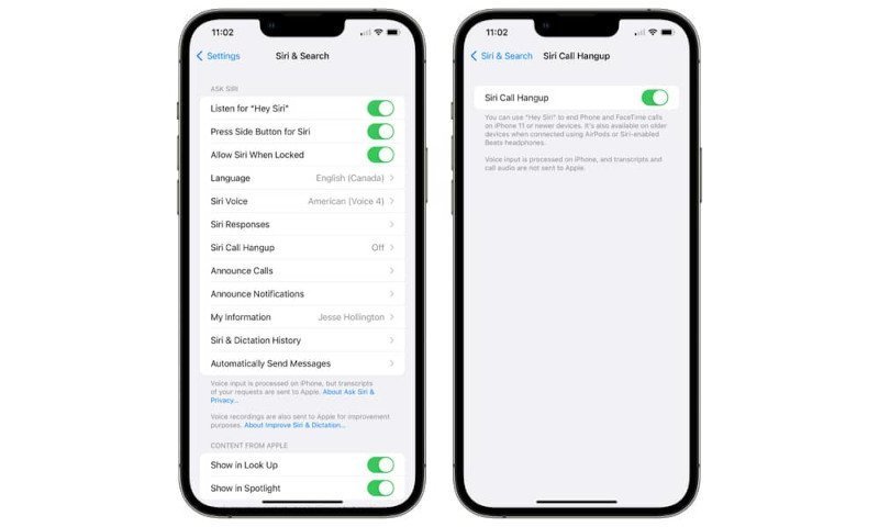 Siri ile Aramaları Bitir